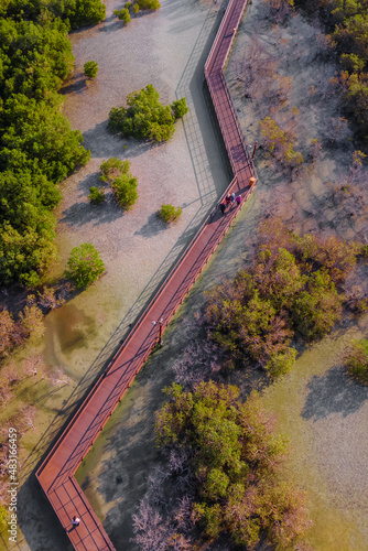 Jubail Mangrove Park in Abu Dhabi