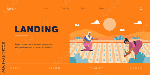 Indian cartoon farmers harvesting crops in paddy fields. Village in India, palm trees, man and woman working on farm character flat vector illustration. Farming, agriculture concept for website design