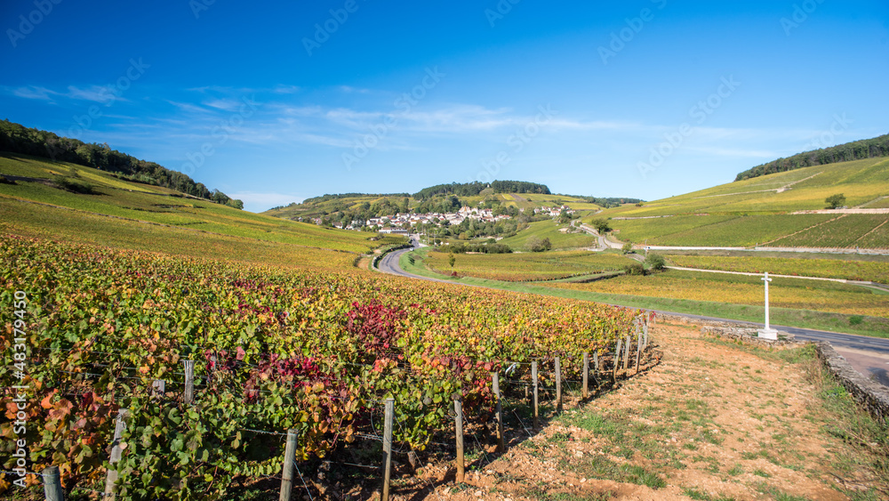 Climat de Bourgogne En Caradeux, Pernand-Vergelesses, Bourgogne, France