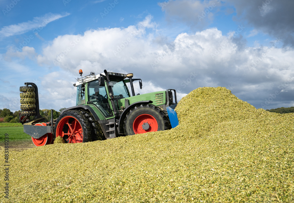 Obraz premium Moderne Landtechnik verschiebt und verdichtet die Maissilage zu einen großen Haufen.