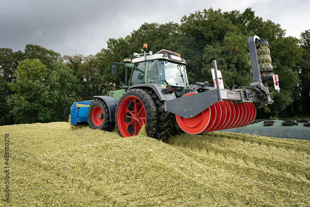 Fototapeta premium Maissilage wird geschoben und verdichtet mit moderner Landtechnik.