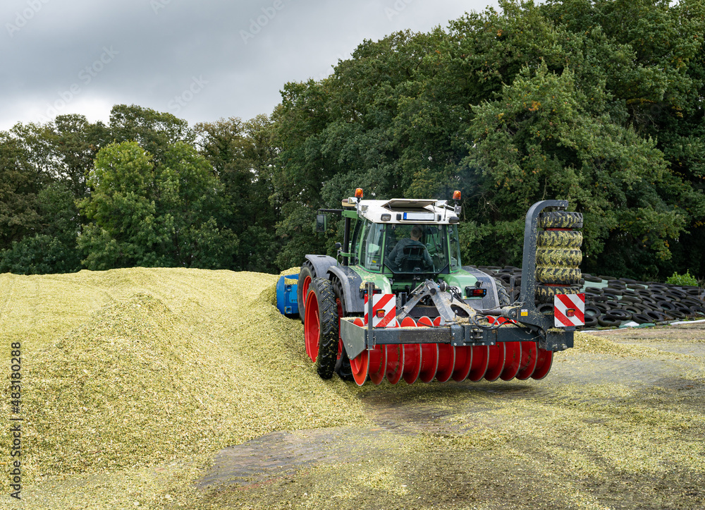 Fototapeta premium Maissilage wird geschoben und verdichtet mit moderner Landtechnik.