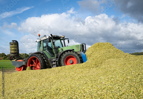 Moderne Landtechnik verschiebt und verdichtet die Maissilage zu einen gro  en Haufen.
