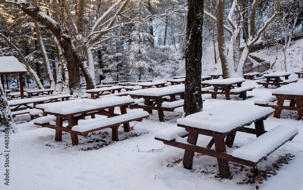 Forest picnic area with food wooden bench covered in snow. Winter snowy season snowstorm.