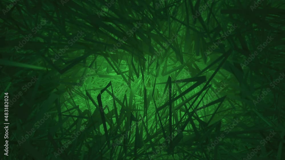 Dark lush green grass gently swaying. Full HD textured nature motion background animation. Dark lush green grass gently swaying. Full HD textured nature motion background animation.