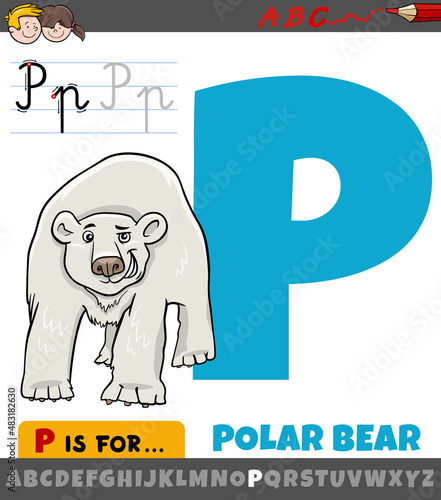 letter P from alphabet with cartoon polar bear animal character