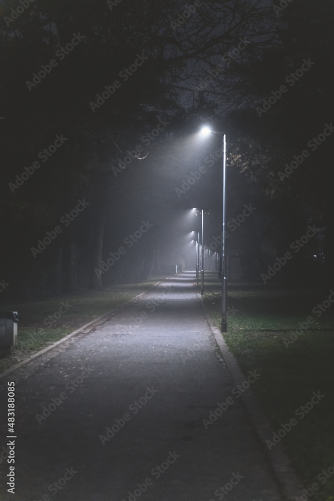 park way in foggy night
