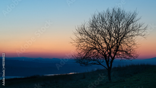 Tree silhouette during a colorful sunset at Czorsztyn, near the Tatra Mountains, Podhale, Poland