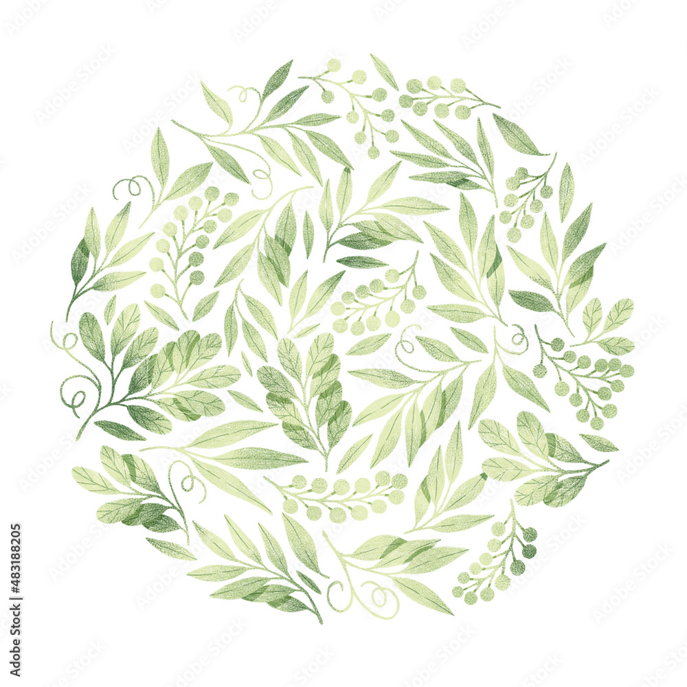 Green leaves and branches circle composition. Botanical illustration. Cute florals, berries and leaves. 
