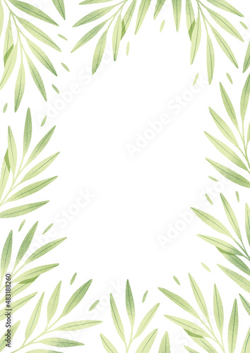 Fototapeta Naklejka Na Ścianę i Meble -  Green leaves floral frame. Botanical illustration. Greeting card, invitation or banner template.
