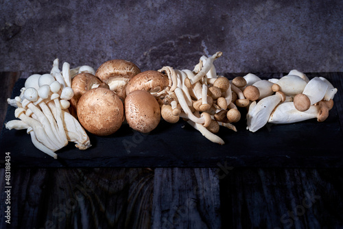 Mushrooms of the varieties Agaricus brunnescens, shimeji white, shimeji brown and pleurotus erynguii for a healthy meal photo