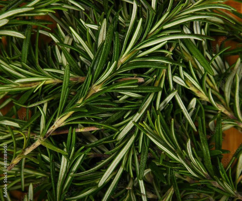 Fototapeta premium Fresh rosemary on bamboo wooden plate