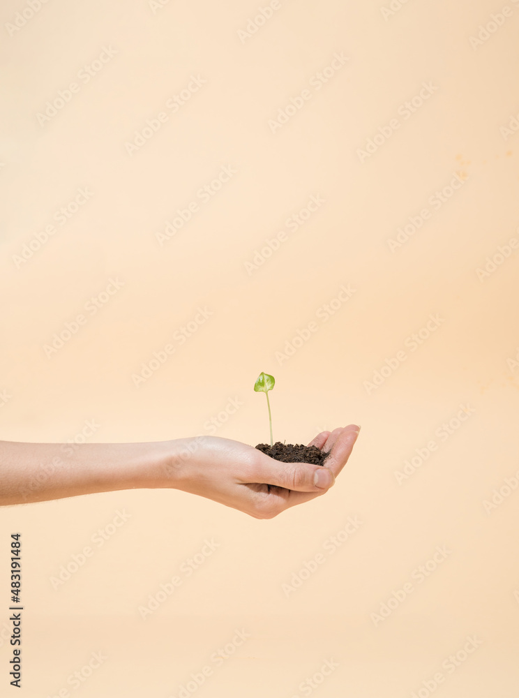 Hand holding tiny green plant growing from piece of soil with amber yellow background Hand holding tiny green plant growing from piece of soil with amber yellow background