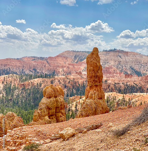 Large green trees fill in all the voids between the orange Hoodoos of granite in Bryce Canyon National Park photo