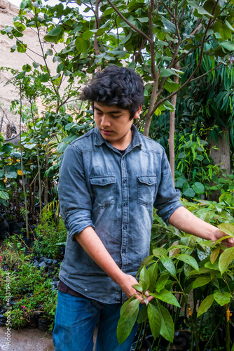 Young male garden owner  growing plants in greenhouse  small business entrepreneur concept