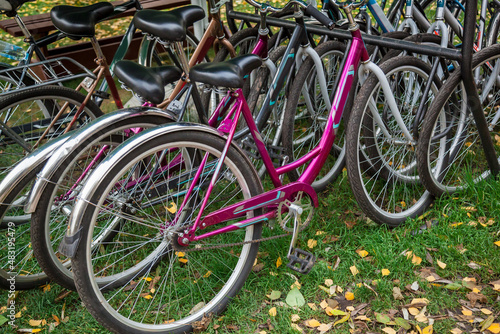 Bicycle parking on the grass with yellow leaves close-up.