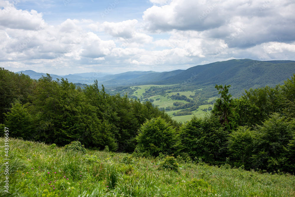 Obraz premium landscape in the summer