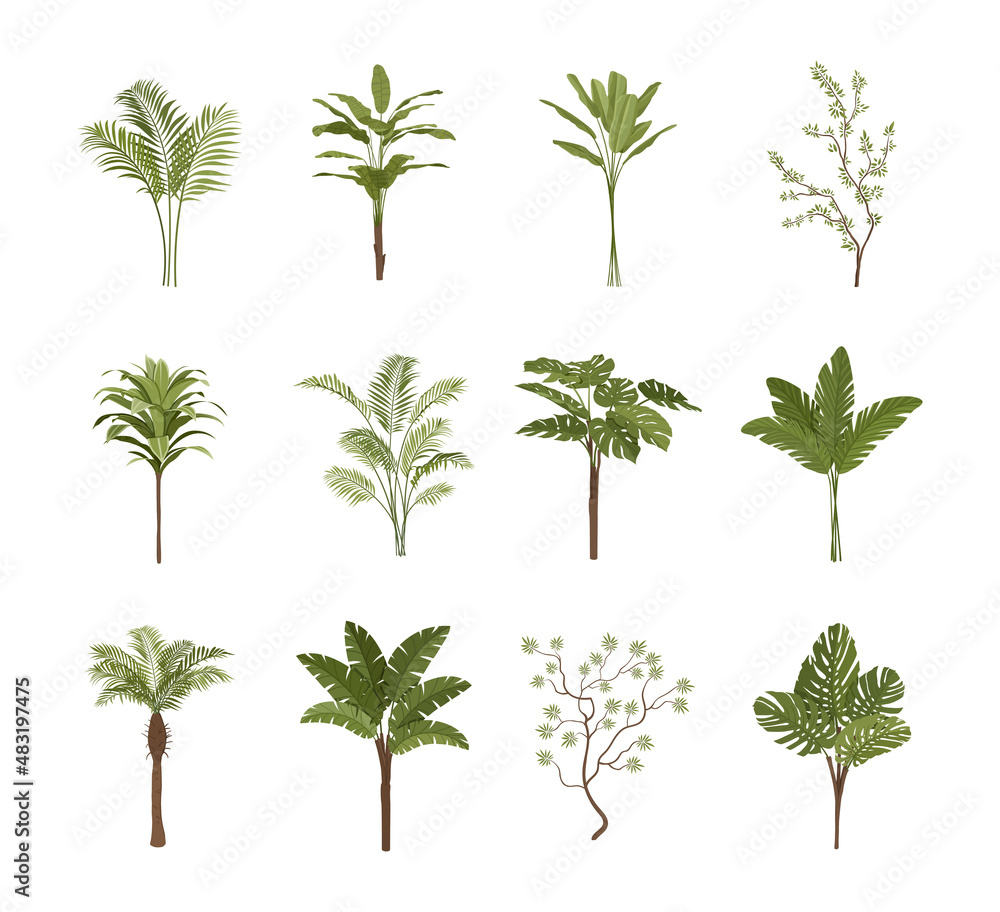 Set of tropical plants. Collection of stickers for social networks. Exotics, travel or trip and uninhabited islands. Nature and flora. Cartoon flat vector illustration isolated on white background Set of tropical plants. Collection of stickers for social networks. Exotics, travel or trip and uninhabited islands. Nature and flora. Cartoon flat vector illustration isolated on white background
