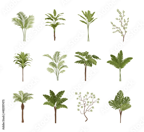 Set of tropical plants. Collection of stickers for social networks. Exotics, travel or trip and uninhabited islands. Nature and flora. Cartoon flat vector illustration isolated on white background