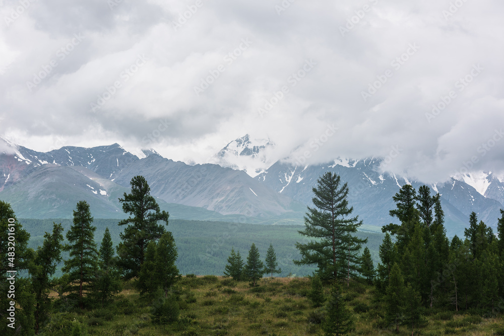 Gloomy alpine landscape with dark green forest with view to large snowy mountain peak in low clouds. Dark atmospheric mountain scenery with coniferous trees on hill and snow mountain top in cloudy sky Gloomy alpine landscape with dark green forest with view to large snowy mountain peak in low clouds. Dark atmospheric mountain scenery with coniferous trees on hill and snow mountain top in cloudy sky