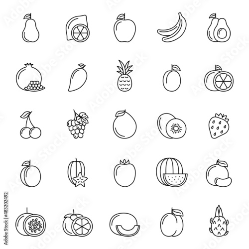 Set of line icons of fruits and berries on white background  vector illustration