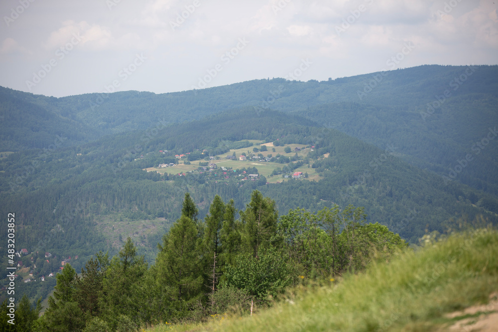 Fototapeta premium landscape with fog