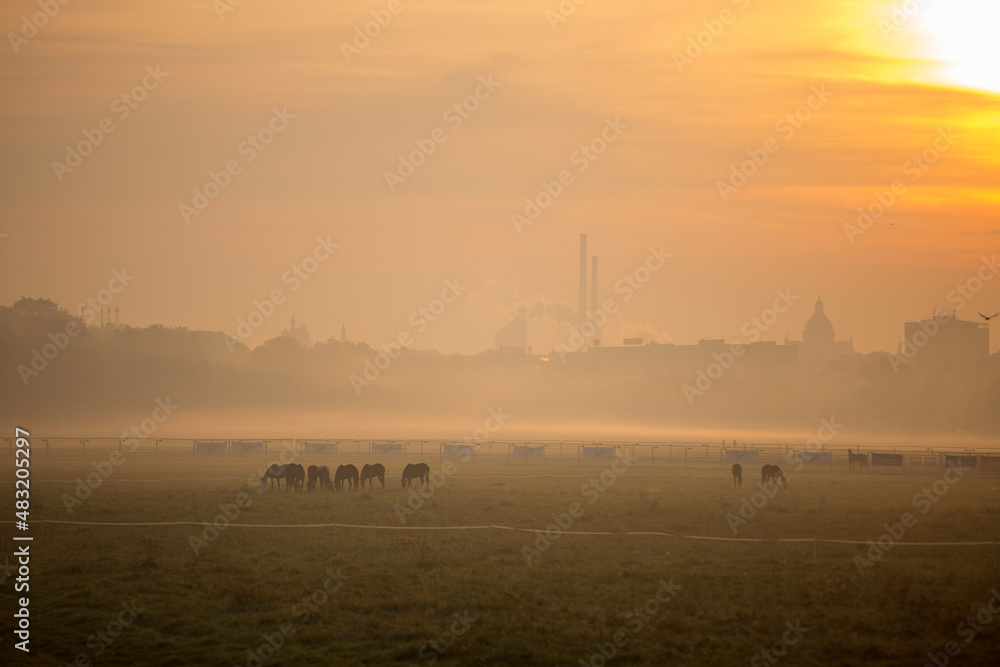 Fototapeta premium sunrise over the field in Krakow