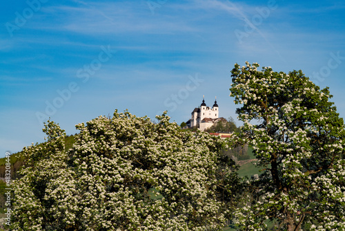 Baumblüte im Mostviertel, Ybbstal, Sonntagberg photo