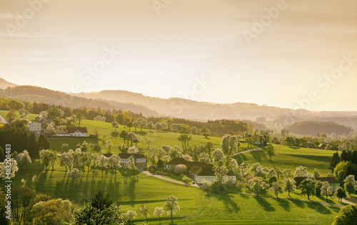 Baumblüte im Mostviertel, Ybbstal