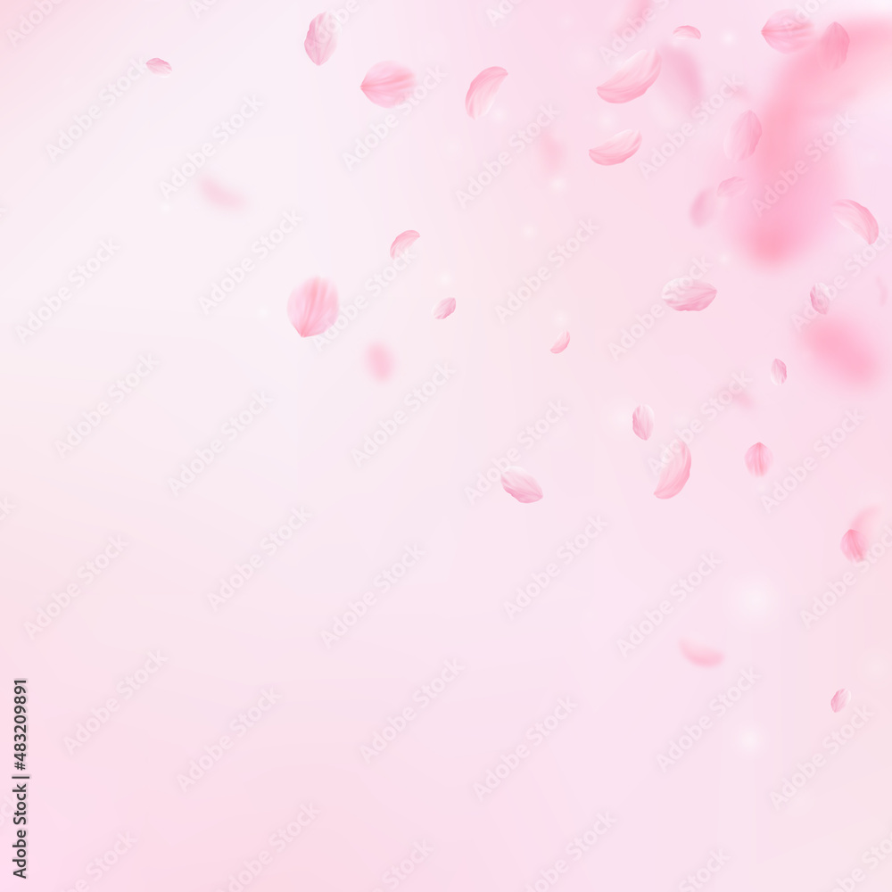 Sakura petals falling down. Romantic pink flowers corner. Flying petals on pink square background. Love, romance concept. Comely wedding invitation.