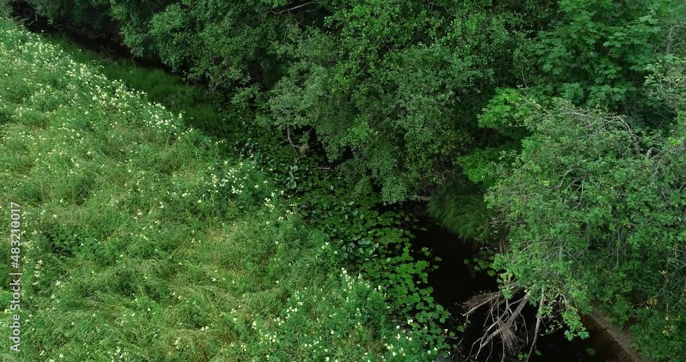 Flight along a small river with lush banks in Estonia, Europe. Flight along a small river with lush banks in Estonia, Europe.