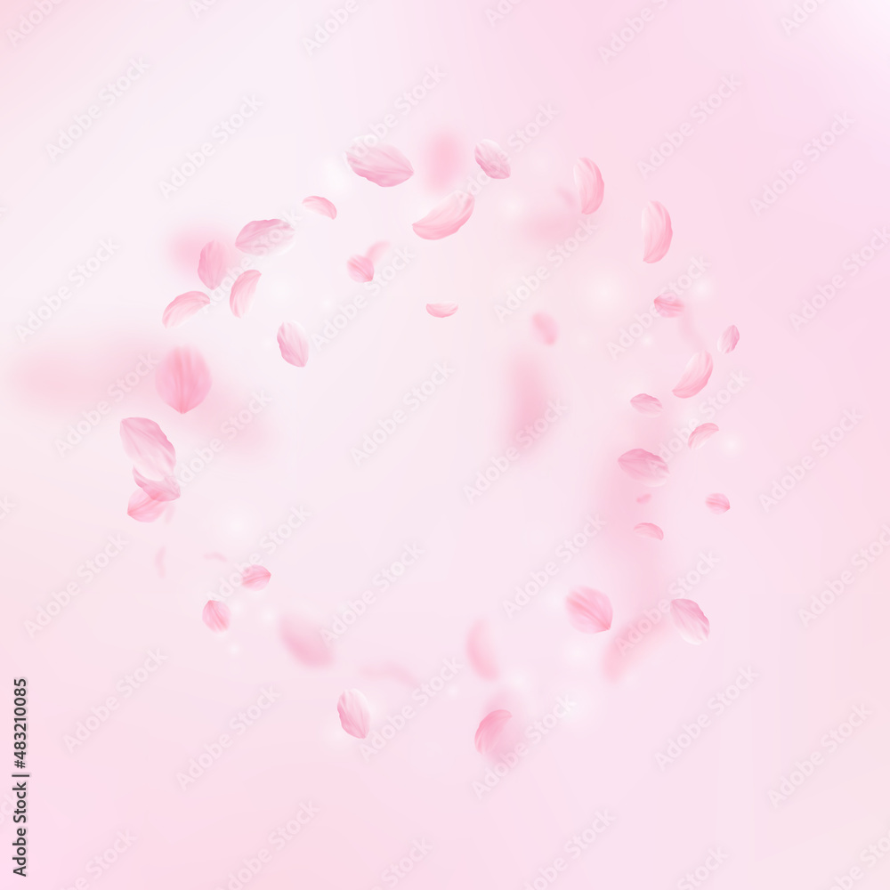 Sakura petals falling down. Romantic pink flowers frame. Flying petals on pink square background. Love, romance concept. Popular wedding invitation.