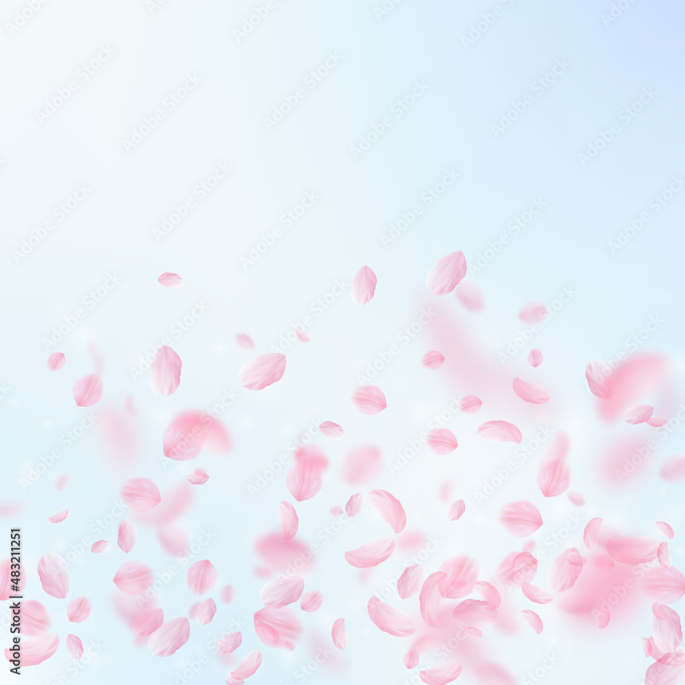 Sakura petals falling down. Romantic pink flowers gradient. Flying petals on blue sky square background. Love, romance concept. Powerful wedding invitation.