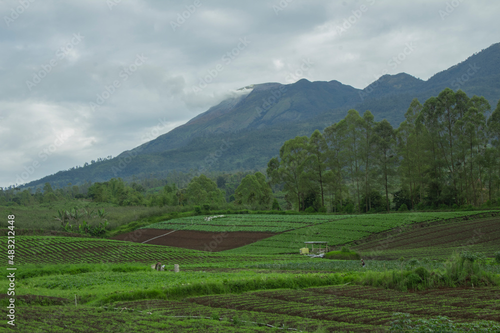 The view of the rice fields in the mountainous area and the cloudy weather