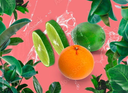  orange    citrus lime  green  lrmon on green leaves  water splash   on  pink coral  tropical   background template banner background photo