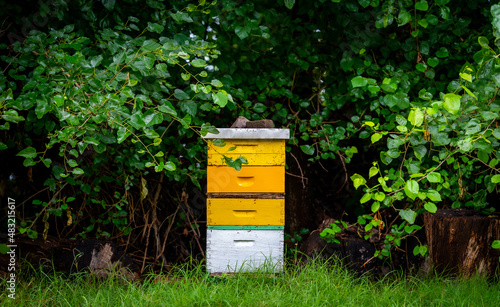 Bild auf Leinwand bees in beehive