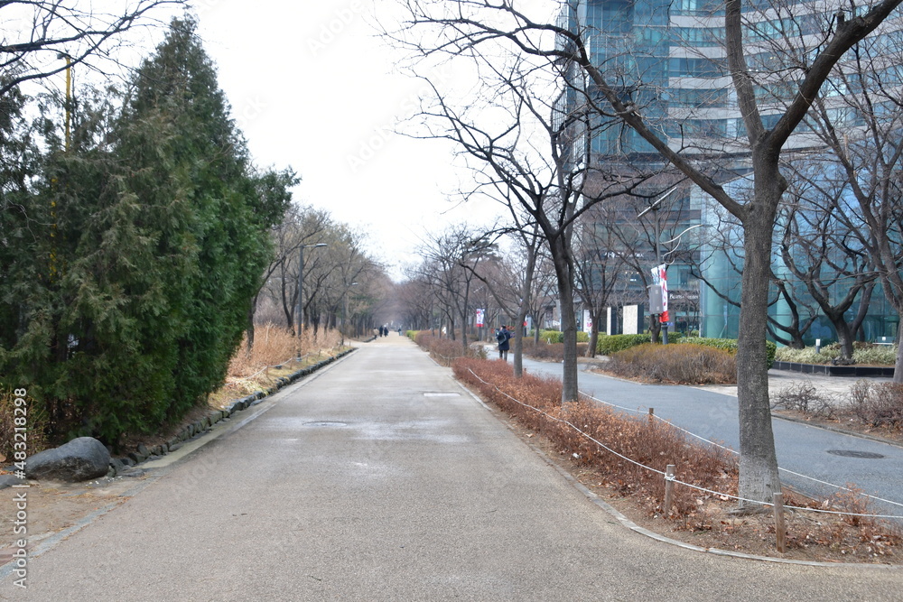 Obraz premium 공원 길