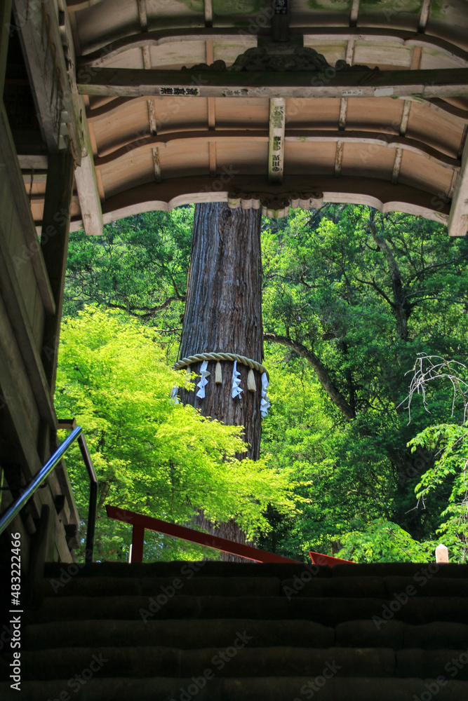 Fototapeta premium 鞍馬寺