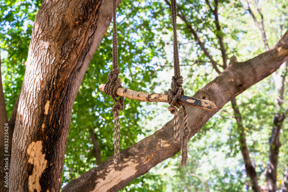 There are ropes on the trees and a homemade ladder. There are ropes on the trees and a homemade ladder.
