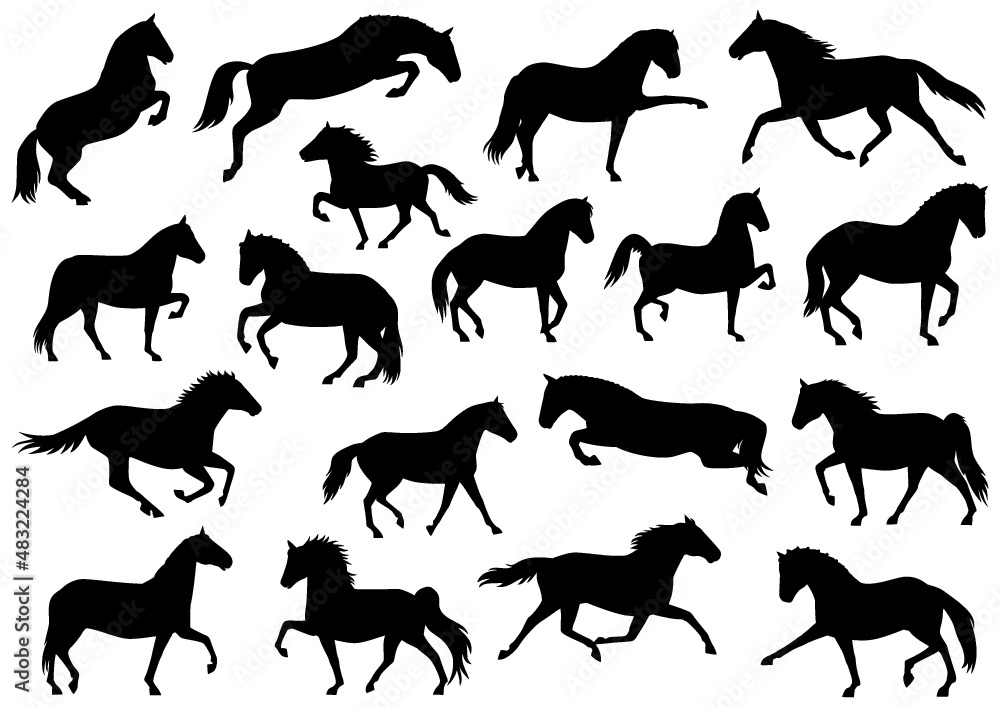 moving horses silhouette bundle