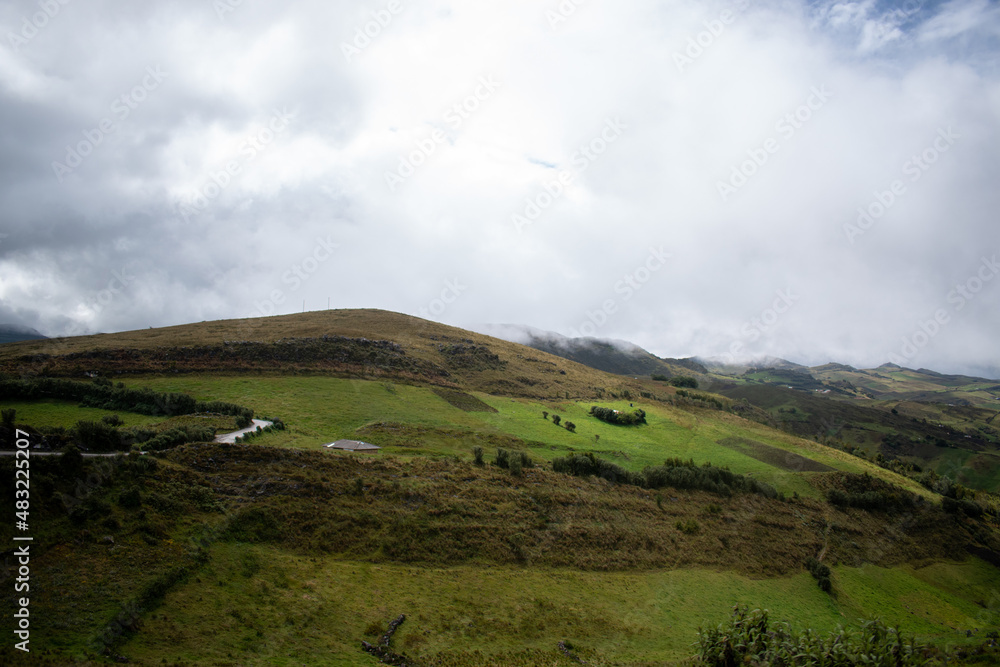 Fototapeta premium Pastizales Muyoc
