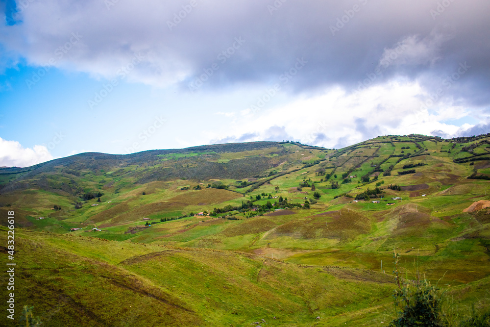 Fototapeta premium Pastizales en San Marcos