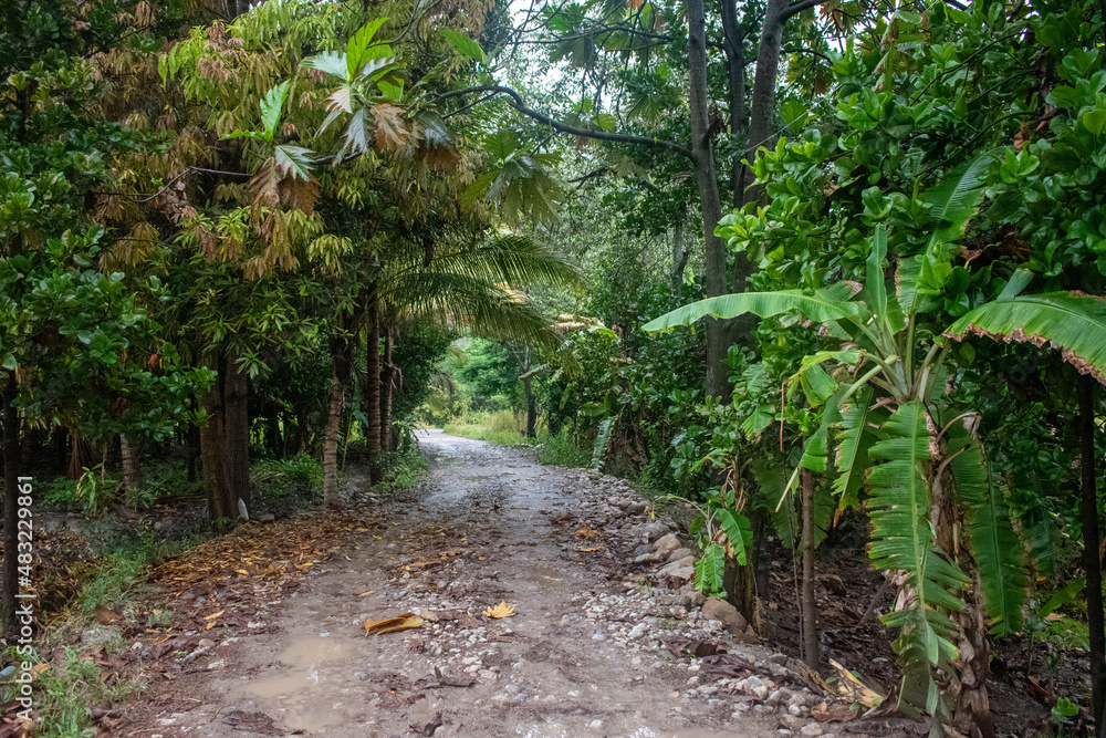 Obraz premium Valle Llanguat Celendín