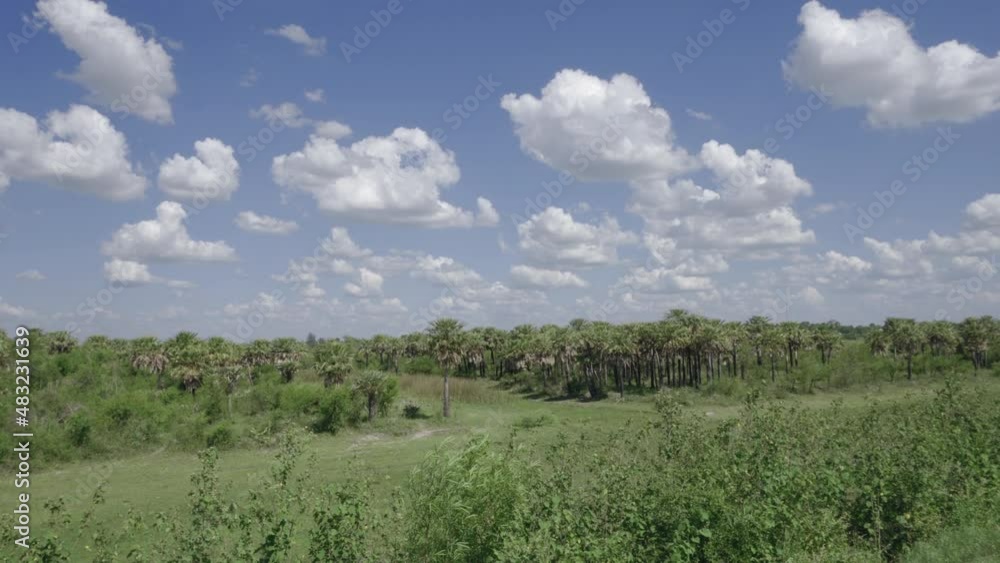 Beautiful landscape with lush green vegetation in windy day. Pan left, gimbal Beautiful landscape with lush green vegetation in windy day. Pan left, gimbal
