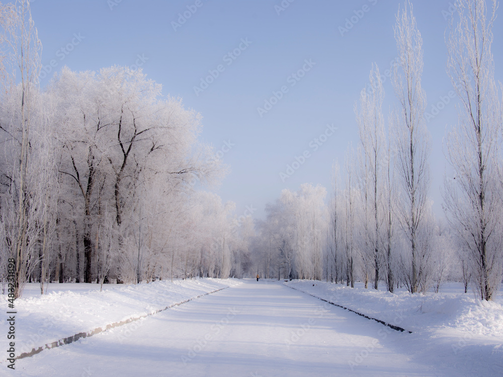 Obraz premium winter landscape