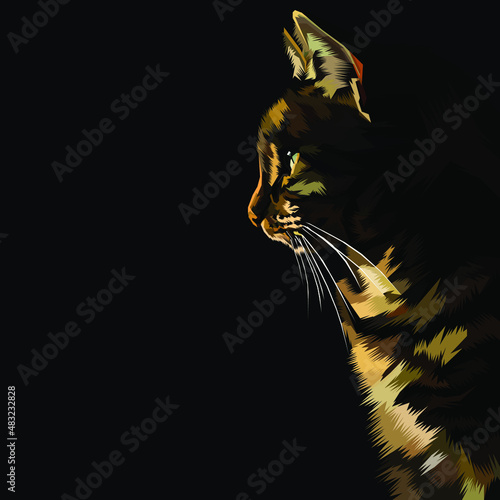 Cat vector illustration