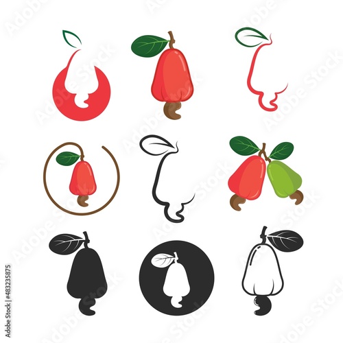 cashew nut set  vector illustration concept design