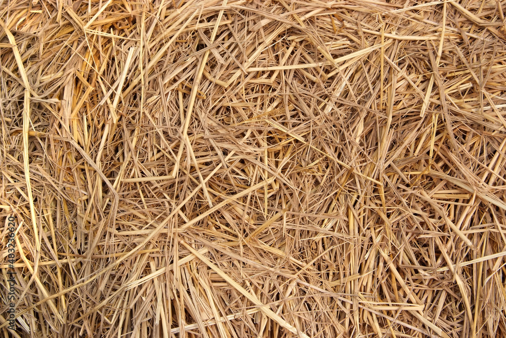 Straw texture background