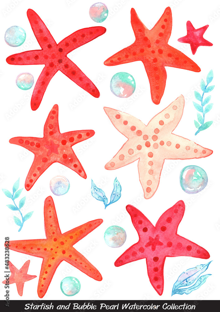Starfish,Bubble pearl and seaweed watercolor illustration for decoration on summer holiday and marine life.