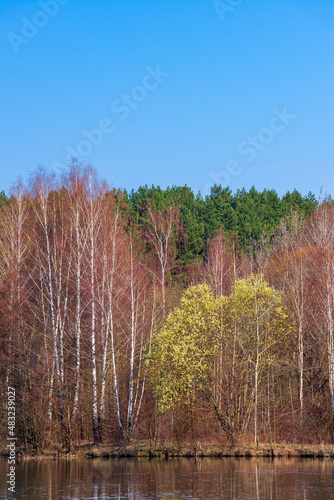 Zaslawskaye Reservoir near Minsk city on a sunny bright spring morning in Belarus photo